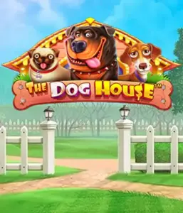 Pragmatic Play's The Dog House Slot, featuring an adorable journey into the world of lovable dogs. Engage in gameplay elements including free spins, designed for delivering exciting wins. A must-try for pet lovers a cheerful atmosphere with a chance for big wins.